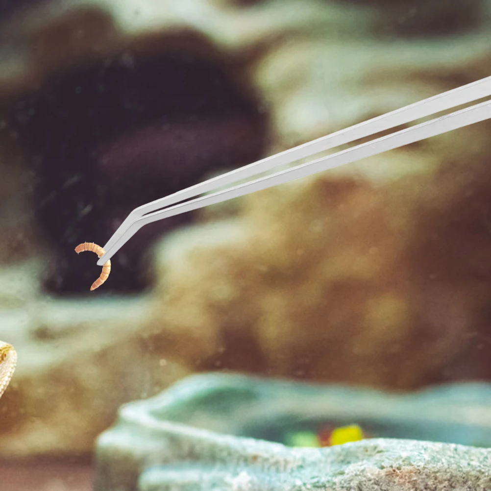 2PCS Feeding Tongs Heavy Duty Curved Straight 25cm Long Aquarium Terrarium Tools Fish Tank Grabber Reptile Food
2PCS Feeding Tongs Heavy Duty Curved Straight 25cm Long Aquarium Terrarium Tools Fish Tank Grabber Reptile Food