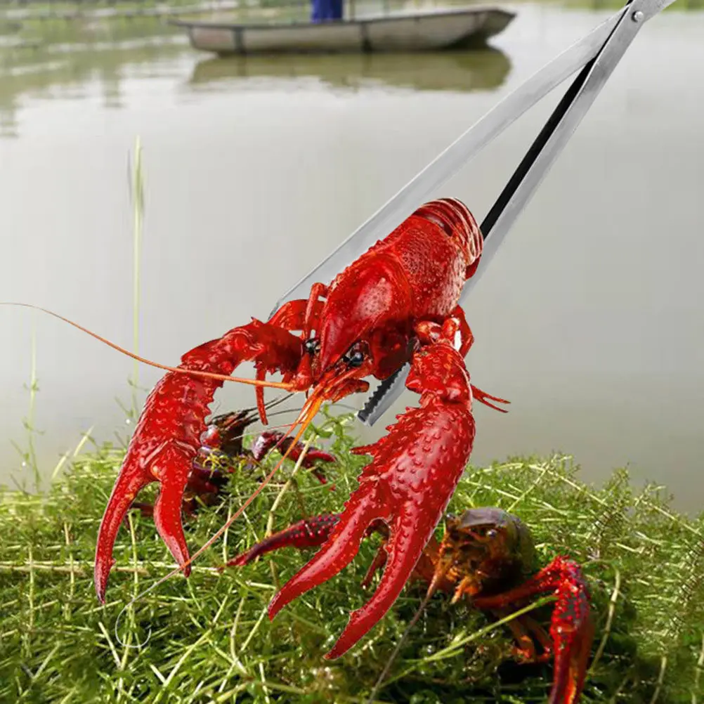 Sturdy Iron ABS Eel Clamp Multi-Use Crab Tong Anti-Slip Grip for Shrimp Loach Catching Portable Fish Tool Kitchen Utility
Sturdy Iron ABS Eel Clamp Multi-Use Crab Tong Anti-Slip Grip for Shrimp Loach Catching Portable Fish Tool Kitchen Utility