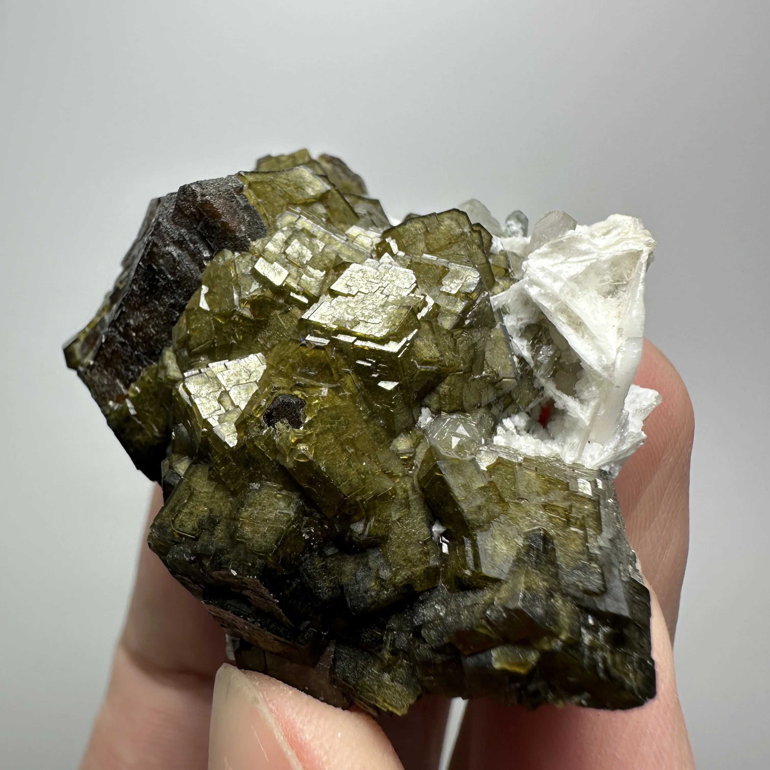 New! Natural Inner Mongolia Garnet mineral specimens + healing quartz crystals and stones rock gemstone
New! Natural Inner Mongolia Garnet mineral specimens + healing quartz crystals and stones rock gemstone