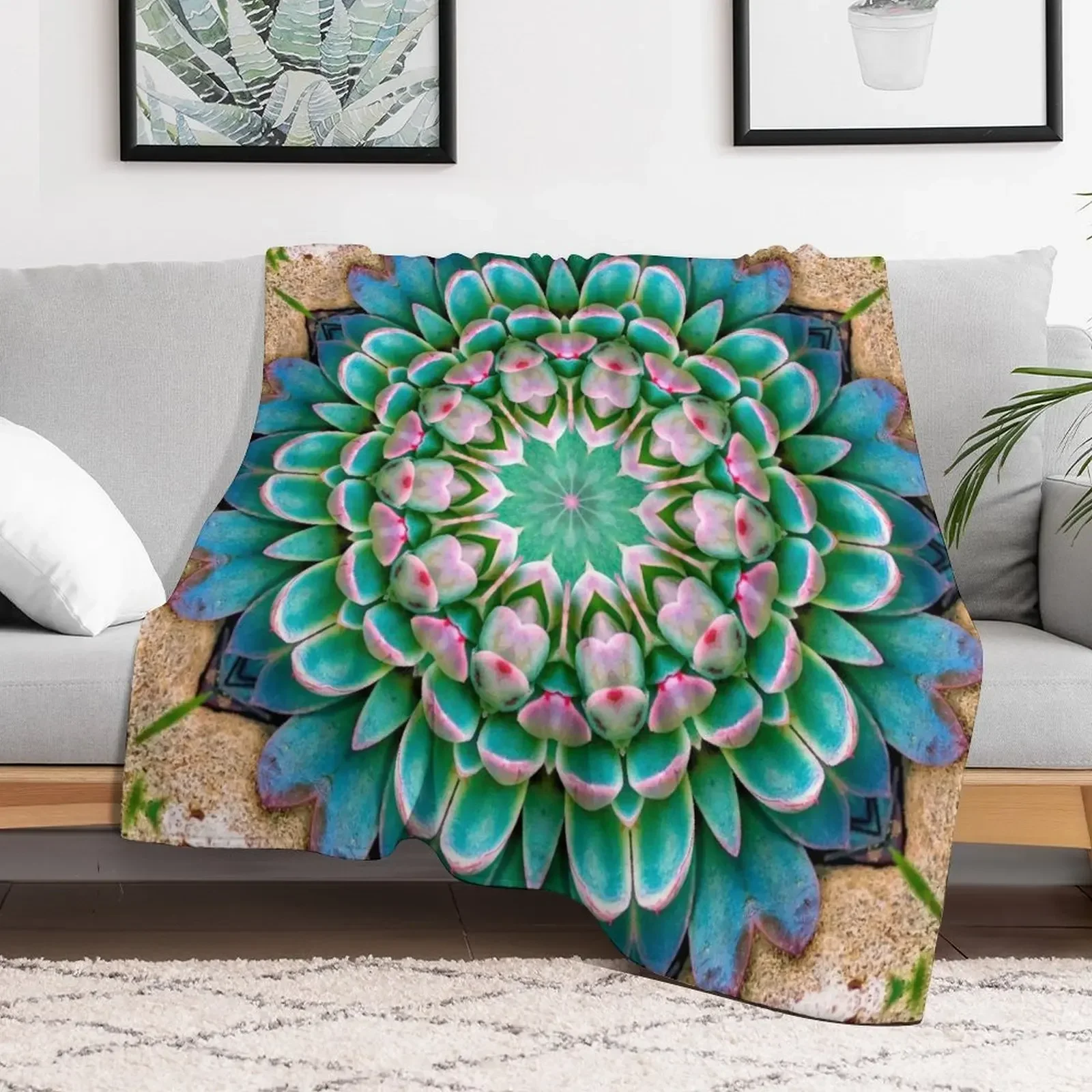 Succulent Mandala in Fuscia and Green Throw Blanket Thin Fashion Sofas Sofas heavy to sleep Blankets
Succulent Mandala in Fuscia and Green Throw Blanket Thin Fashion Sofas Sofas heavy to sleep Blankets