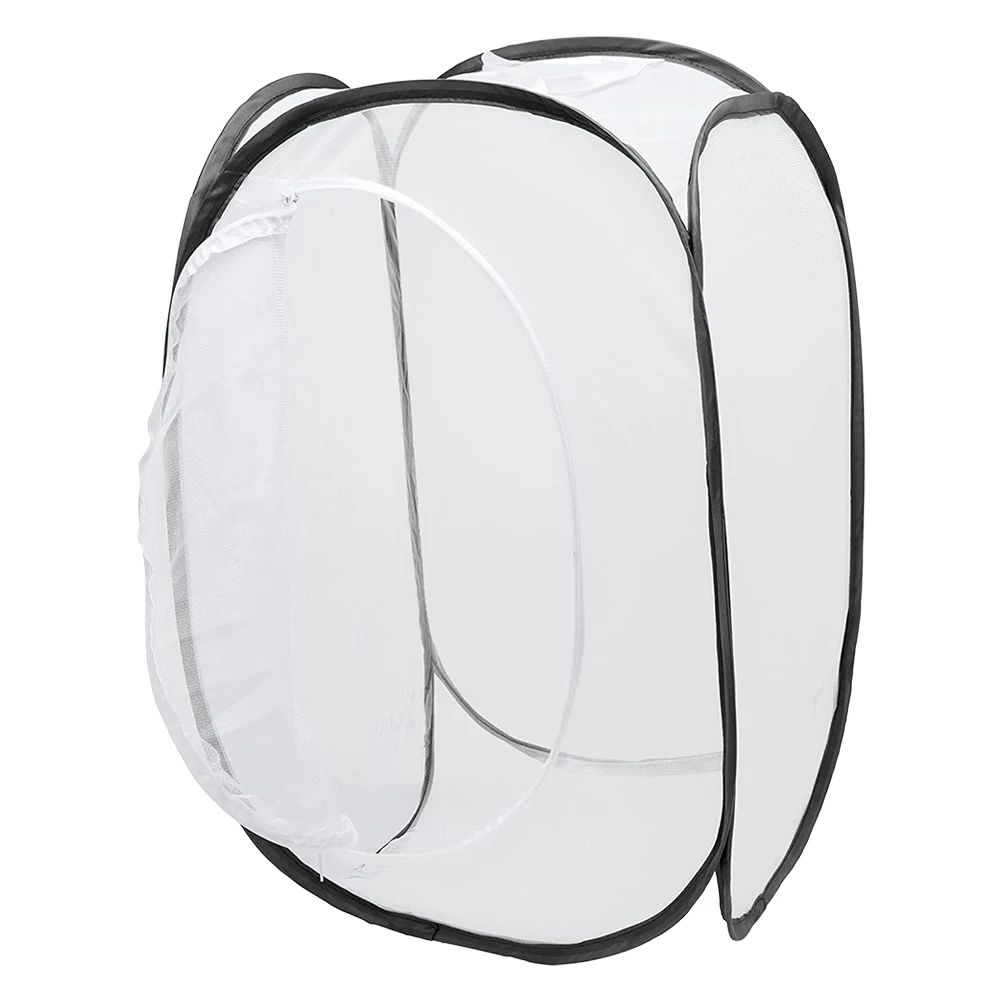 Clear Insect Cage Breathable Enclosure With Zipper Door Outdoor Caterpillar Habitat Fine Mesh Insect Container Butterfly
Clear Insect Cage Breathable Enclosure With Zipper Door Outdoor Caterpillar Habitat Fine Mesh Insect Container Butterfly
