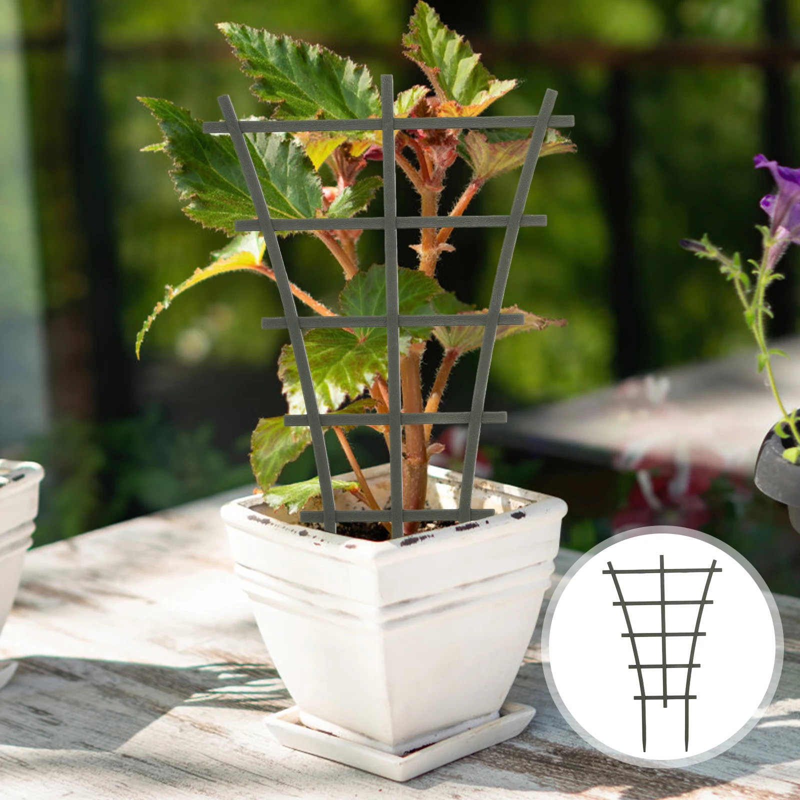 3 Pcs Vine Climbing Frame Large Plastic T-Shaped Plant Trellis Stand Green Garden Support Stake Flowers Vegetables Cages Lattice
3 Pcs Vine Climbing Frame Large Plastic T-Shaped Plant Trellis Stand Green Garden Support Stake Flowers Vegetables Cages Lattice