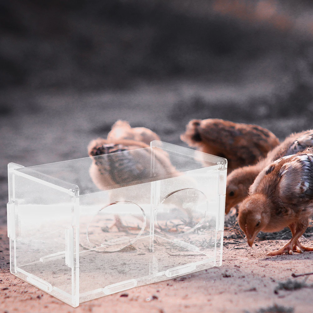 3pcs Clear Chicken Feeder Poultry Container Coop Feeding Tool Chick Feeder Durable Easy Lid Farmhouse Style 
3pcs Clear Chicken Feeder Poultry Container Coop Feeding Tool Chick Feeder Durable Easy Lid Farmhouse Style