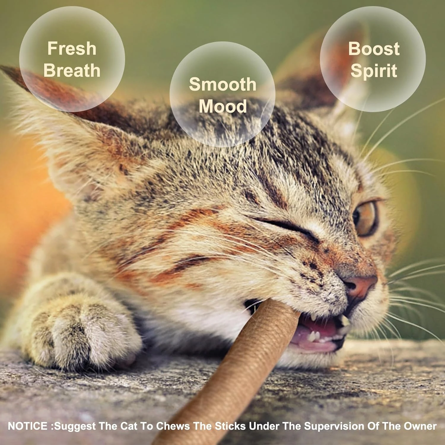 Enriching and Stimulating Chew Toy for Cats - Essential Accessory for Fun Playtime and Enhanced Oral Health - Treat Your Beloved
Enriching and Stimulating Chew Toy for Cats - Essential Accessory for Fun Playtime and Enhanced Oral Health - Treat Your Beloved