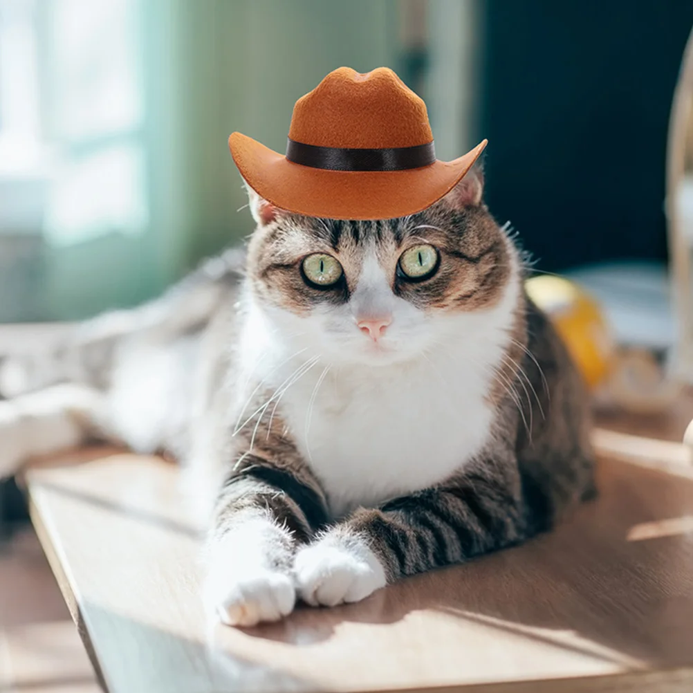 Fashionable Pet Cowboy For Dogs Cats Party Costume Accessory Multi-Function Wear-Resistant Non-Woven Fabric Dog Hat Cat Hat 
Fashionable Pet Cowboy For Dogs Cats Party Costume Accessory Multi-Function Wear-Resistant Non-Woven Fabric Dog Hat Cat Hat