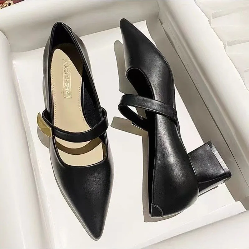 Vintage French Fashionable Women's Shoes Spring Autumn New Style Thick Heel One-piece Elegant Pointed Mid-heel Fashionable Singl
Vintage French Fashionable Women's Shoes Spring Autumn New Style Thick Heel One-piece Elegant Pointed Mid-heel Fashionable Singl