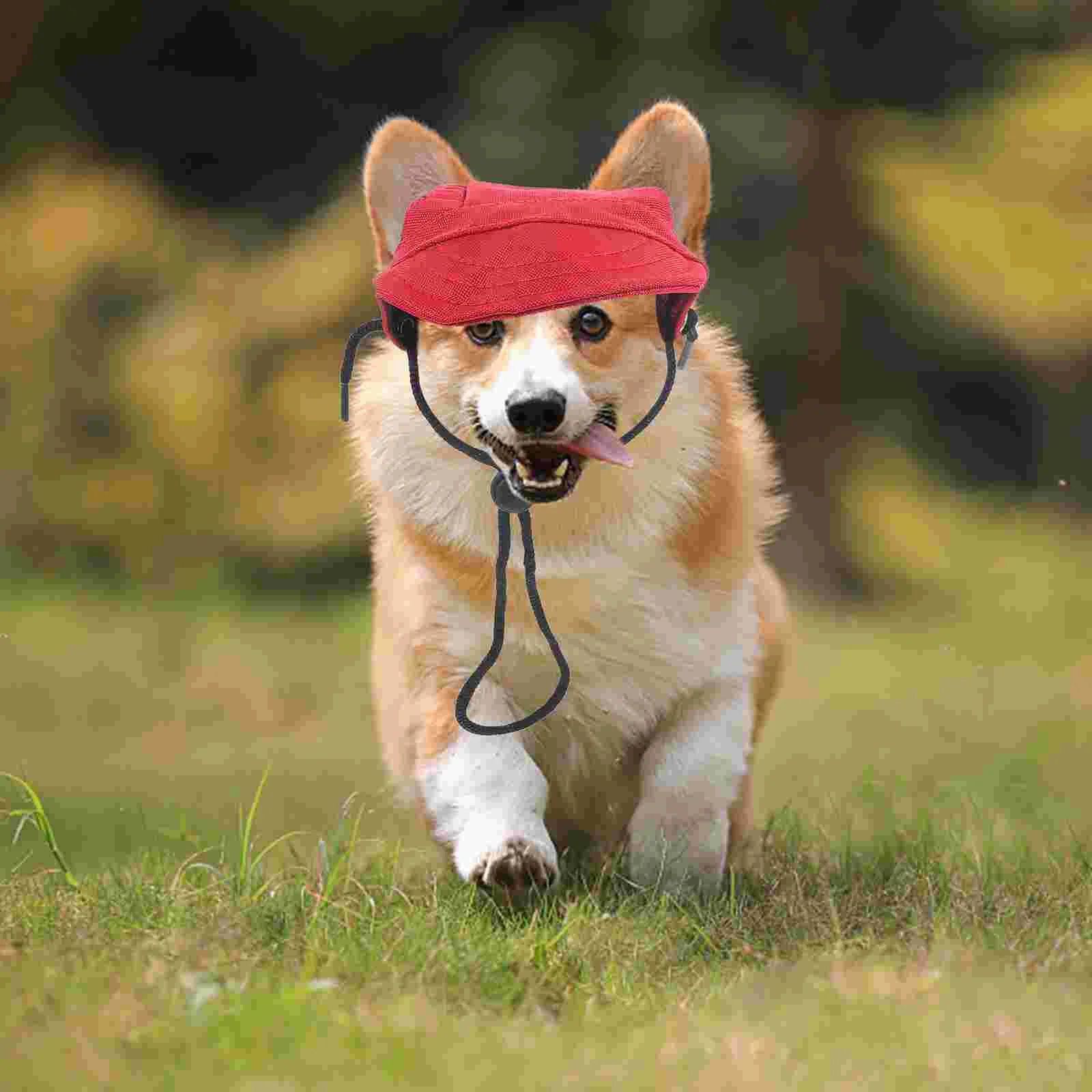 Dog Accessories Puppy Outfits Bday Hat Apparel Outdoor Ornaments Baseball Hats for Pet Sports Cap
Dog Accessories Puppy Outfits Bday Hat Apparel Outdoor Ornaments Baseball Hats for Pet Sports Cap