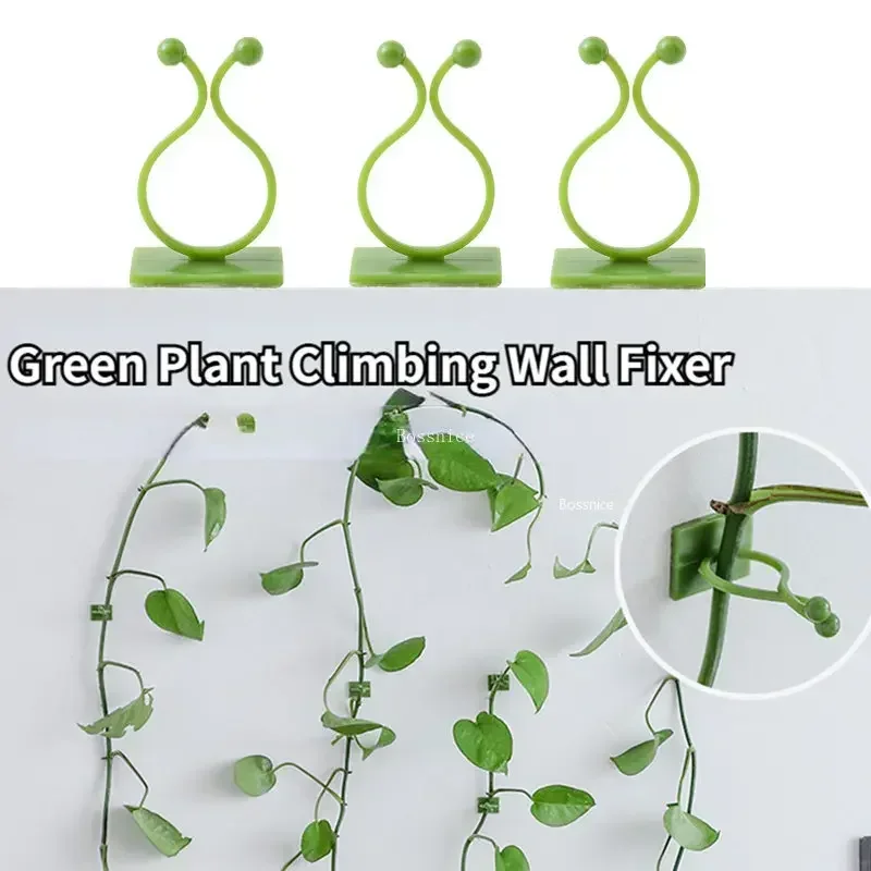 20Pcs Plant Climbing Wall Clips Vine Buckle Hook Rattan Clamp Fixator Self-Adhesive Plant Stent Invisible Vine Climbing Fixed
20Pcs Plant Climbing Wall Clips Vine Buckle Hook Rattan Clamp Fixator Self-Adhesive Plant Stent Invisible Vine Climbing Fixed