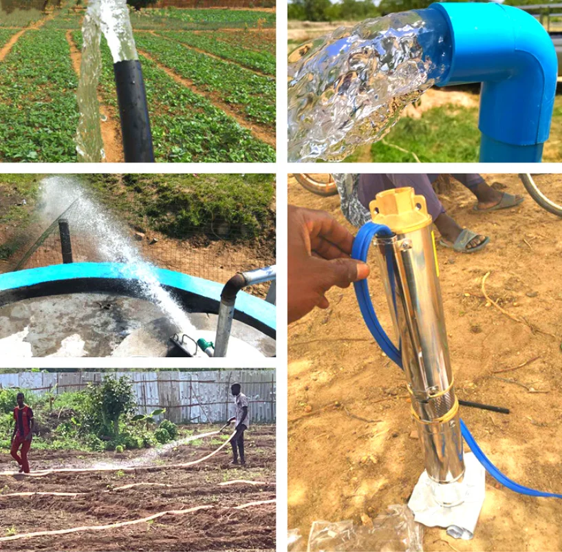 Multistage Vertical Borehole Water Pump High Pressure Deep Well Electric Motor Agriculture Irrigation OEM China
Multistage Vertical Borehole Water Pump High Pressure Deep Well Electric Motor Agriculture Irrigation OEM China