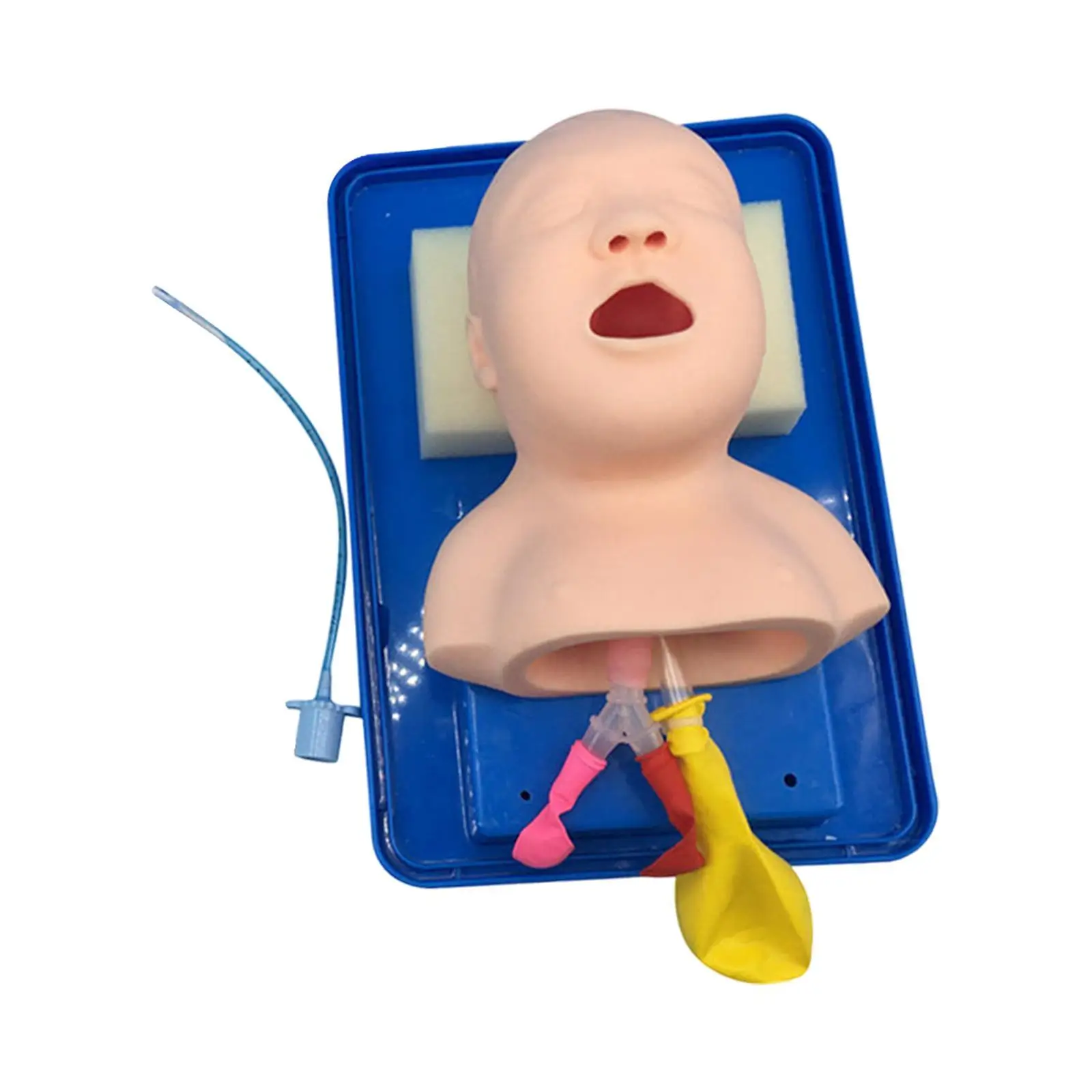 Pediatric Intubation Manikin Airway Management Train Tool,Infant Intubation Train Tool for Practice,Aid Simulation Training
Pediatric Intubation Manikin Airway Management Train Tool,Infant Intubation Train Tool for Practice,Aid Simulation Training