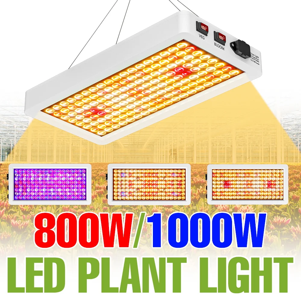 1000W LED Hydroponics Plant Lamp IR UV Full Spectrum Grow Lights Quantum Board For Indoor Growing Tent Cultivation Fill Lighting
1000W LED Hydroponics Plant Lamp IR UV Full Spectrum Grow Lights Quantum Board For Indoor Growing Tent Cultivation Fill Lighting