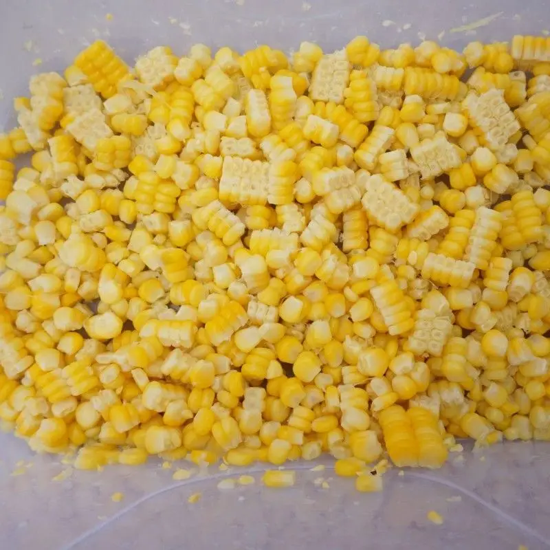 High Performance Electric Corn Sheller Efficient Maize Threshing Processing Equipment
High Performance Electric Corn Sheller Efficient Maize Threshing Processing Equipment