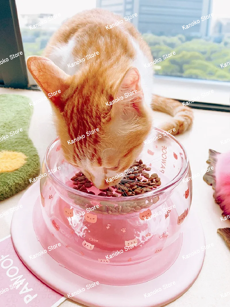 Cherry Blossom Glass Pet Bowl Anti-knock Cat Bowl Cats Feeder Schnauzer Poodle Yorkshire Terrier Small Dog Bowl Pet Supplies
Cherry Blossom Glass Pet Bowl Anti-knock Cat Bowl Cats Feeder Schnauzer Poodle Yorkshire Terrier Small Dog Bowl Pet Supplies