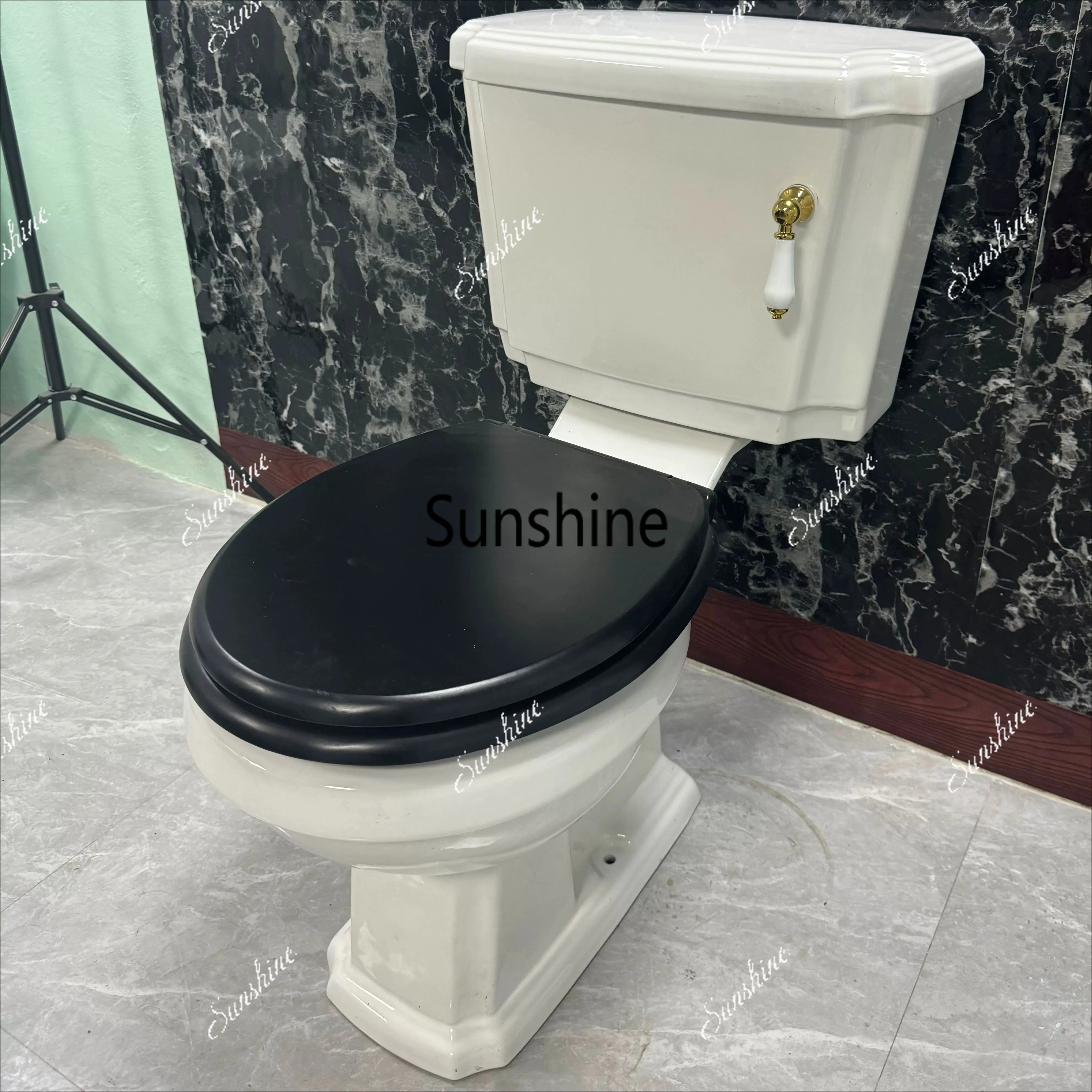 Wall row split toilet side row horizontal toilet free nozzle
Wall row split toilet side row horizontal toilet free nozzle