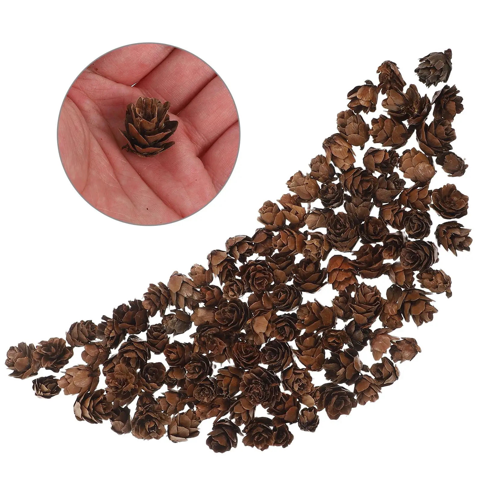 100 Pcs Pine Cone Decoration Artificial Christmas Tree nament Rustic Home Office Store Christmas Tree Decor Holiday Supplies
100 Pcs Pine Cone Decoration Artificial Christmas Tree nament Rustic Home Office Store Christmas Tree Decor Holiday Supplies
