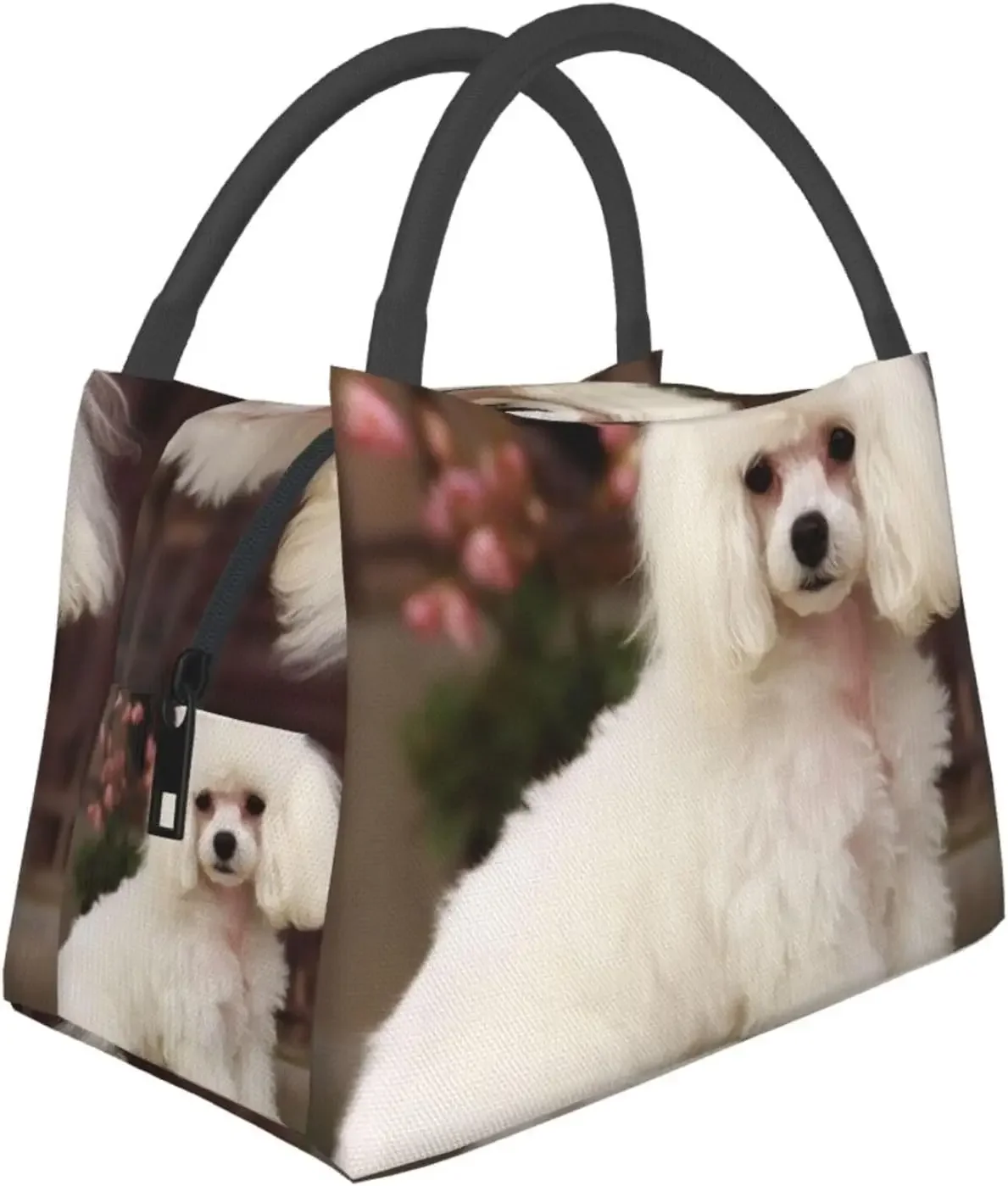 KHiry Insulated Lunch Bag for Women Men Lunch Box French Poodle Lunchbox Portable Lunch Tote Bag for Picnics Travel
KHiry Insulated Lunch Bag for Women Men Lunch Box French Poodle Lunchbox Portable Lunch Tote Bag for Picnics Travel