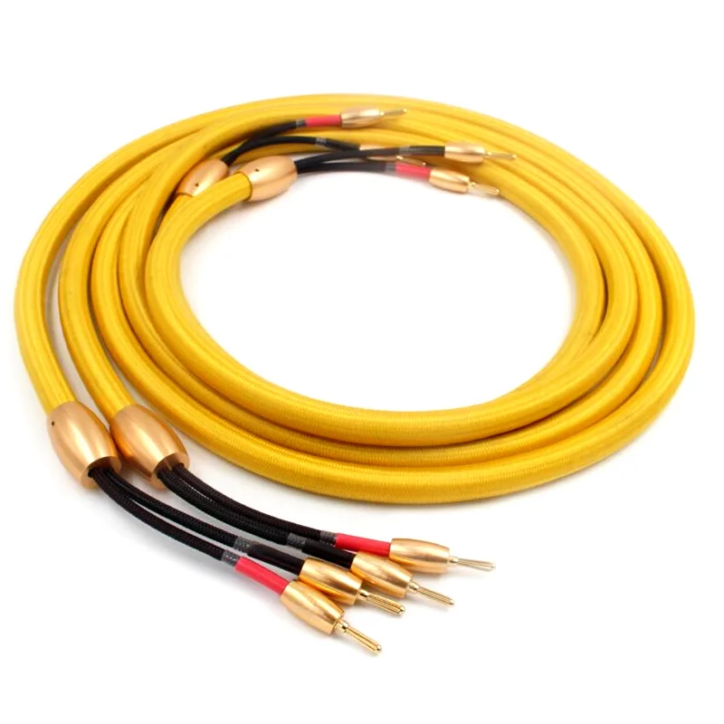 Pair Accuphase Hifi Audio Speaker Cable Loudspeaker Cable With 24k Gold Plated Banana Plug
Pair Accuphase Hifi Audio Speaker Cable Loudspeaker Cable With 24k Gold Plated Banana Plug