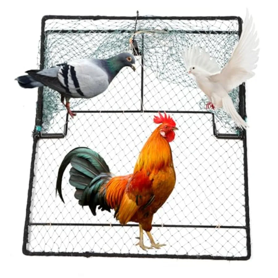 Humane Pigeon Trap, Bird Trap for Quail, Turkey, Net Traps 19.7x23.6 inch
Humane Pigeon Trap, Bird Trap for Quail, Turkey, Net Traps 19.7x23.6 inch