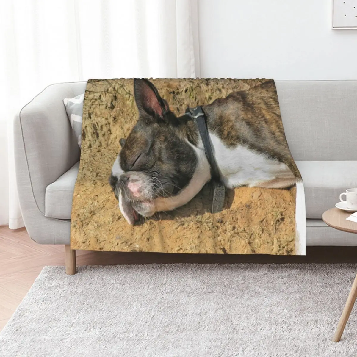 Boston Terrier sleeping Throw Blanket Soft Breathable Blanket for Night Sleeping
Boston Terrier sleeping Throw Blanket Soft Breathable Blanket for Night Sleeping