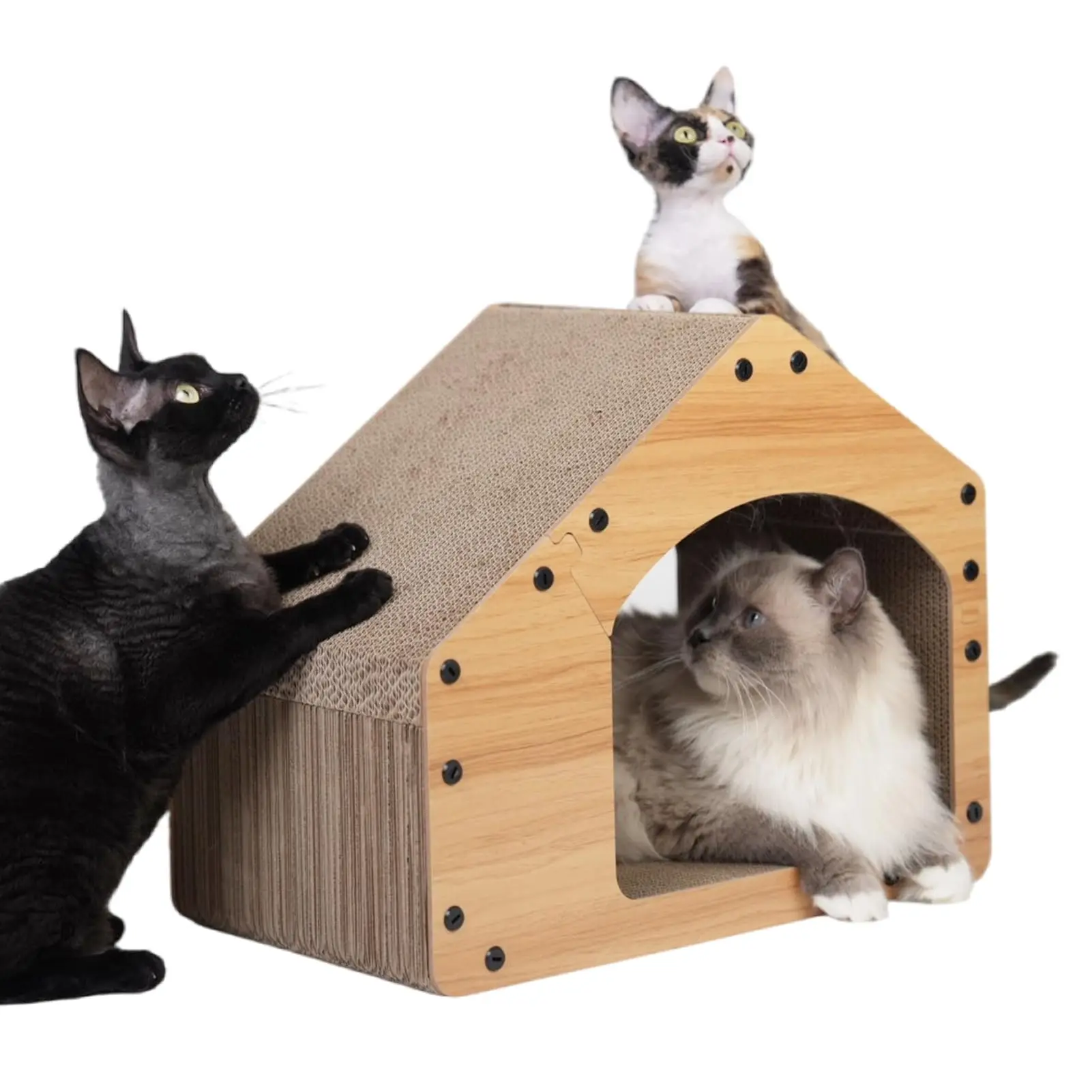 Eco Friendly Recycled Cat Scratch Pad Refills Board Scratching Post Kratzbaum for Sustainable Pet Homes
Eco Friendly Recycled Cat Scratch Pad Refills Board Scratching Post Kratzbaum for Sustainable Pet Homes