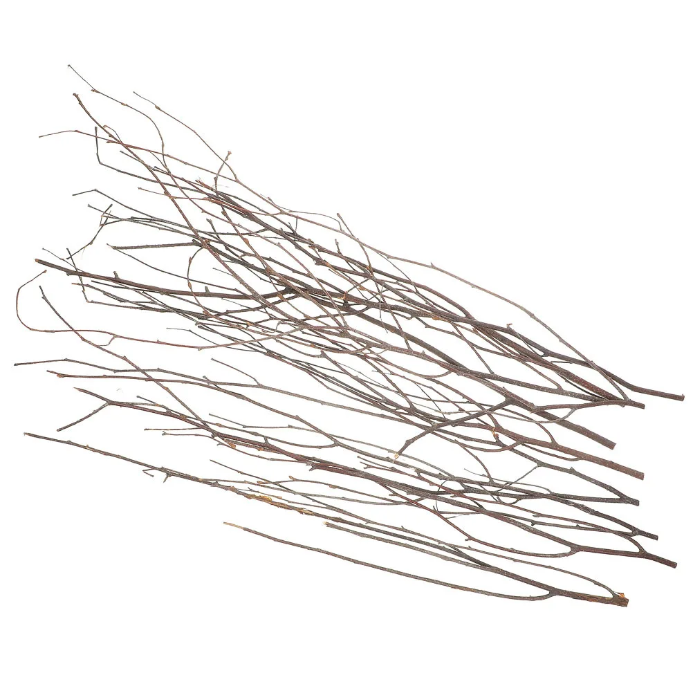 12Pcs Natural Small Twigs Dried Greenery Branches Vase Filler Decorative Plants for Living Room Bedroom Photo Props
12Pcs Natural Small Twigs Dried Greenery Branches Vase Filler Decorative Plants for Living Room Bedroom Photo Props