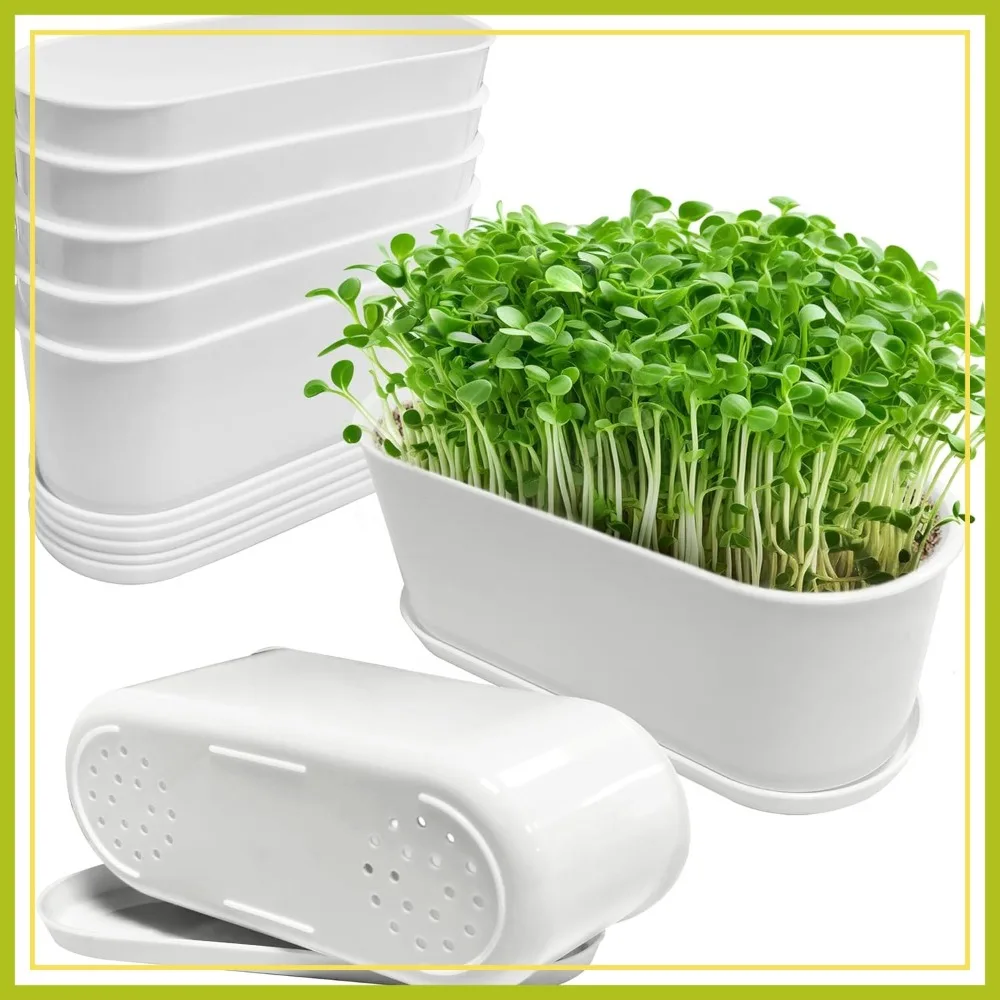 5-Pack Rectangular Window Herb Planter Box, 8.5x3.5 inch White Plastic with Drainage Holes & Trays, Indoor Succulent Mint Pot
5-Pack Rectangular Window Herb Planter Box, 8.5x3.5 inch White Plastic with Drainage Holes & Trays, Indoor Succulent Mint Pot