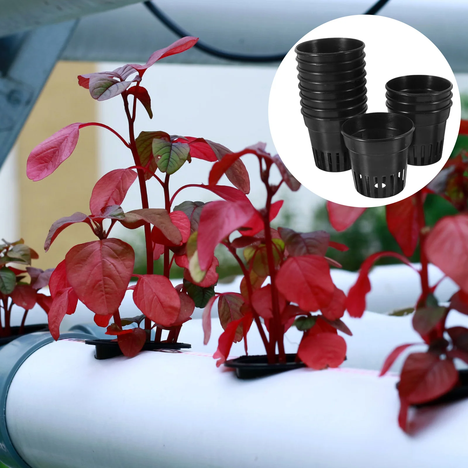 12pcs Planting Basket Black Plastic Pot With Drainage Holes For Garden Nursery Use Uv Resistant Growing Container Cups
12pcs Planting Basket Black Plastic Pot With Drainage Holes For Garden Nursery Use Uv Resistant Growing Container Cups