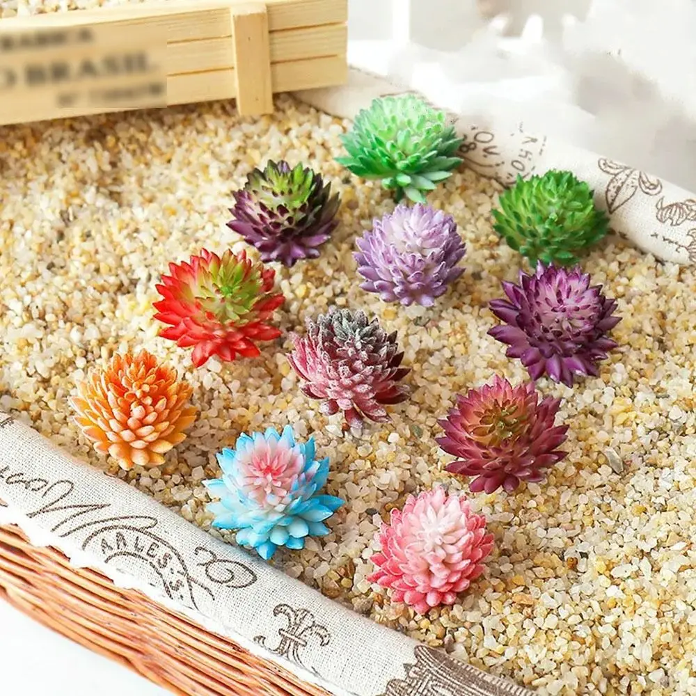 2pcs DIY Artificial Succulent Plants Realistic Handmade Fake Succulent Flocking Plants Mini Plastic Simulated Floral Plants 
2pcs DIY Artificial Succulent Plants Realistic Handmade Fake Succulent Flocking Plants Mini Plastic Simulated Floral Plants