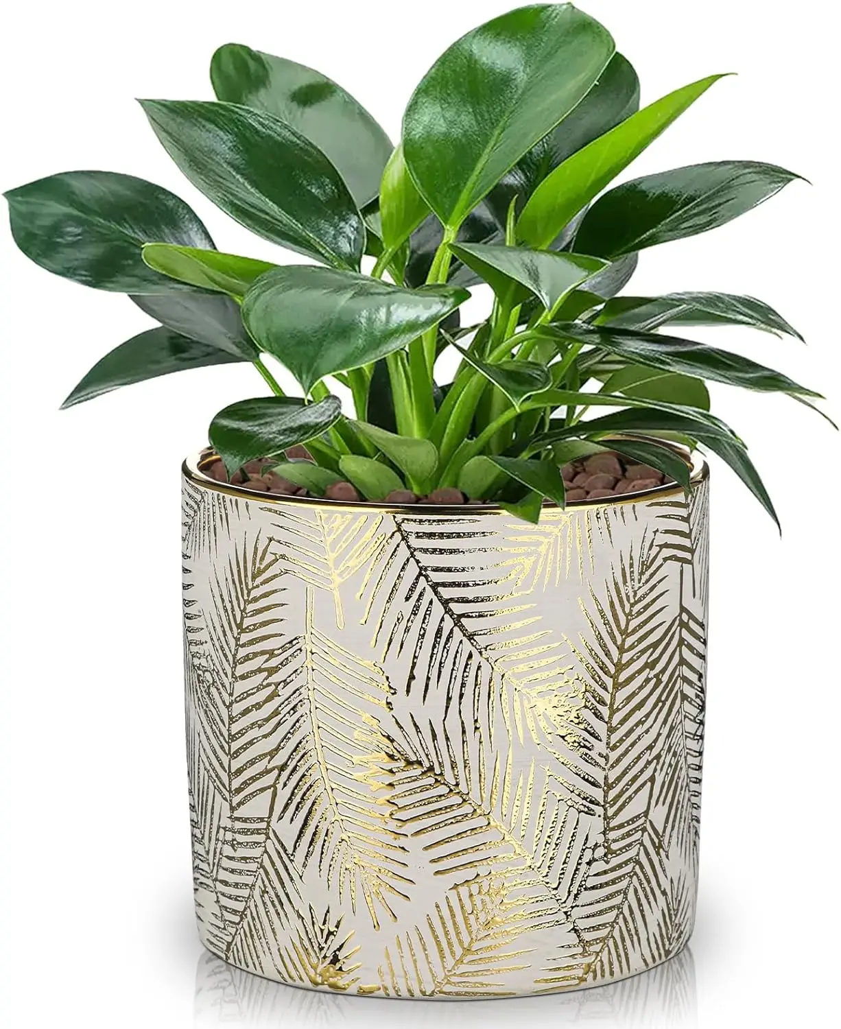 Small Ceramic Pot for Indoor Plants, 5.3 inch Plant Pot with Drainage Hole Decorative Texture Gold Planter Indoor Outdoo
Small Ceramic Pot for Indoor Plants, 5.3 inch Plant Pot with Drainage Hole Decorative Texture Gold Planter Indoor Outdoo