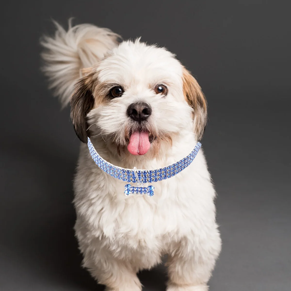 1 Unit Adjustable Rhinestone Pet L Size Crystal Dog Collar Shining Design for Small Dogs Fashion Walking Pet
1 Unit Adjustable Rhinestone Pet L Size Crystal Dog Collar Shining Design for Small Dogs Fashion Walking Pet