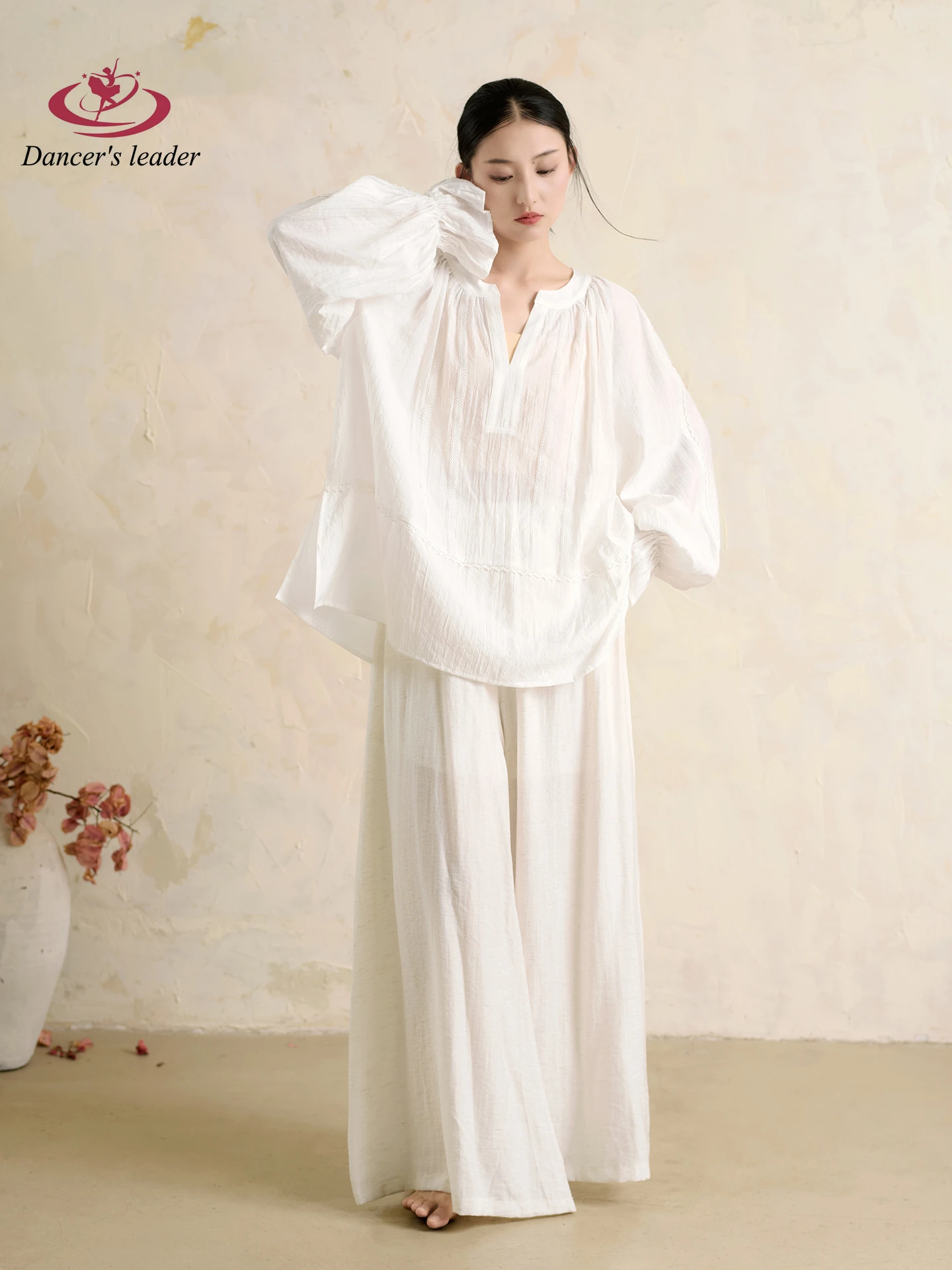 Современный танец, классический китайский танцевальный костюм, повседневная одежда, рубашка с капюшоном, рубашка с длинными рукавами, топ для женщин
Современный танец, классический китайский танцевальный костюм, повседневная одежда, рубашка с капюшоном, рубашка с длинными рукавами, топ для женщин