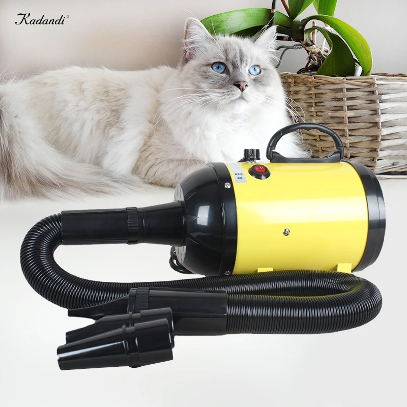 Grooming Smart Hand Held Automatic Pet Hair Dryer Machine for Cats Pet Blower Dryer
Grooming Smart Hand Held Automatic Pet Hair Dryer Machine for Cats Pet Blower Dryer