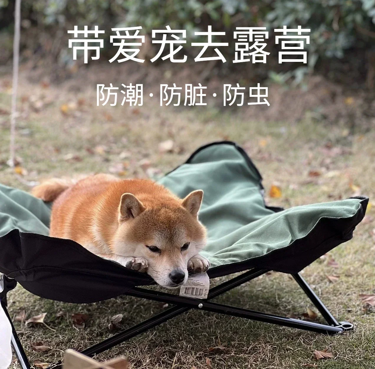 Foldable Portable Pet Bed for Dog Nest Camping Outdoor Waterproof and Waterproof Dog Mat Portable Dog Nest Pet Nest Hot sales
Foldable Portable Pet Bed for Dog Nest Camping Outdoor Waterproof and Waterproof Dog Mat Portable Dog Nest Pet Nest Hot sales