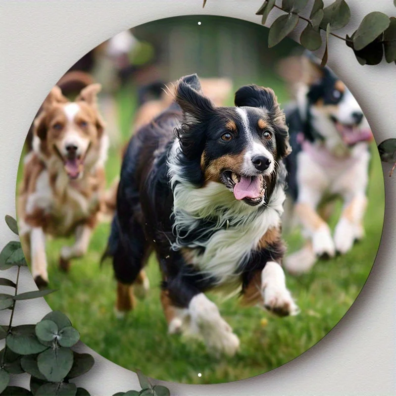 Aluminum Metal Circular Sign Set with Dog Print - Waterproof Home & Tavern Decor, Pre-Drilled Holes, HD Printing
Aluminum Metal Circular Sign Set with Dog Print - Waterproof Home & Tavern Decor, Pre-Drilled Holes, HD Printing
