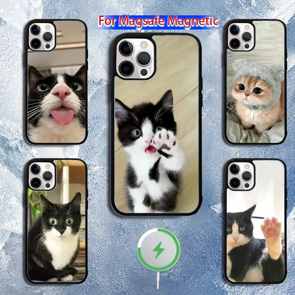 Cute Black and White Cat Phone Case For iPhone 16,15,14,13,12,11,Pro,Max,Plus,Mini,Magsafe,Magnetic Wireless Charging Case
Cute Black and White Cat Phone Case For iPhone 16,15,14,13,12,11,Pro,Max,Plus,Mini,Magsafe,Magnetic Wireless Charging Case