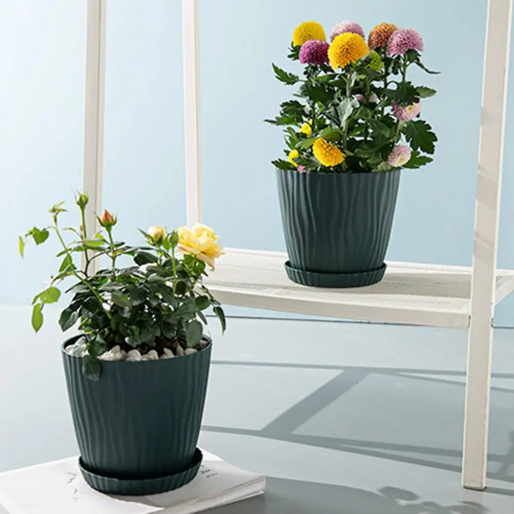 Drainage Tray for Plants 5-pack Lightweight Plastic Flowerpots with Drainage Tray for Indoor Outdoor Plants Weather for Aloe
Drainage Tray for Plants 5-pack Lightweight Plastic Flowerpots with Drainage Tray for Indoor Outdoor Plants Weather for Aloe