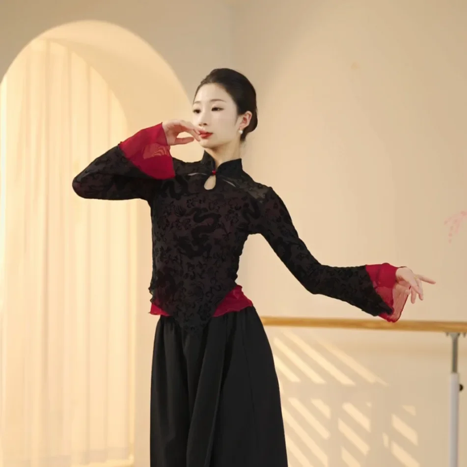 Women's Classic Dance Body Rhyme Dance Training Service Training Body Mesh Dress Long Sleeve Yoga Classic Elastic Mesh Top
Women's Classic Dance Body Rhyme Dance Training Service Training Body Mesh Dress Long Sleeve Yoga Classic Elastic Mesh Top