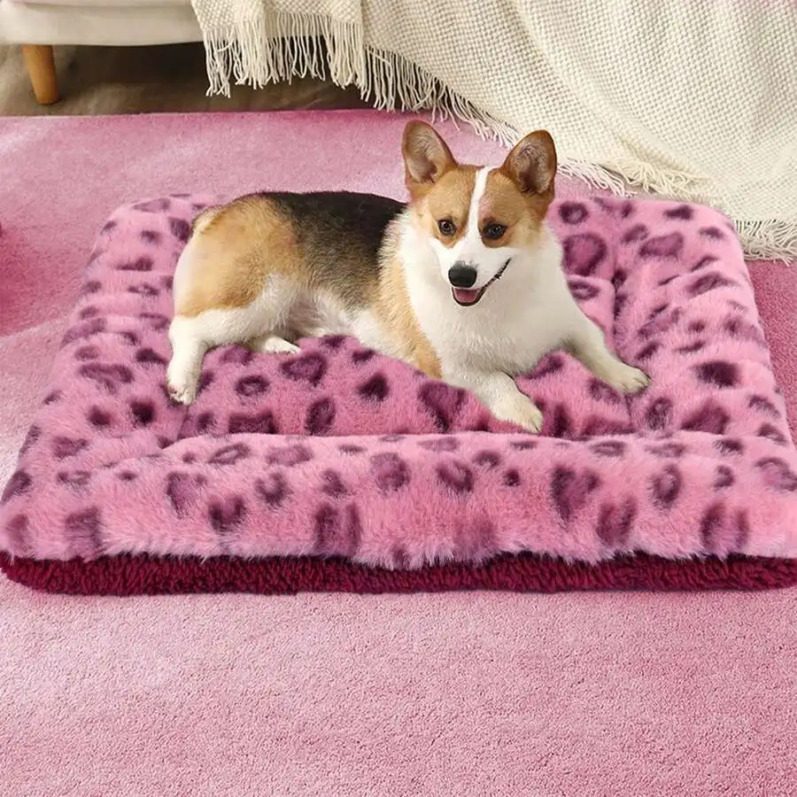 1pc Leopard Print Plush Pet Mat, Reversible Plush Pet Mat Ultra Soft Dog Cat Crate Mat Sleeping Cushion Pad Machine Washable
1pc Leopard Print Plush Pet Mat, Reversible Plush Pet Mat Ultra Soft Dog Cat Crate Mat Sleeping Cushion Pad Machine Washable