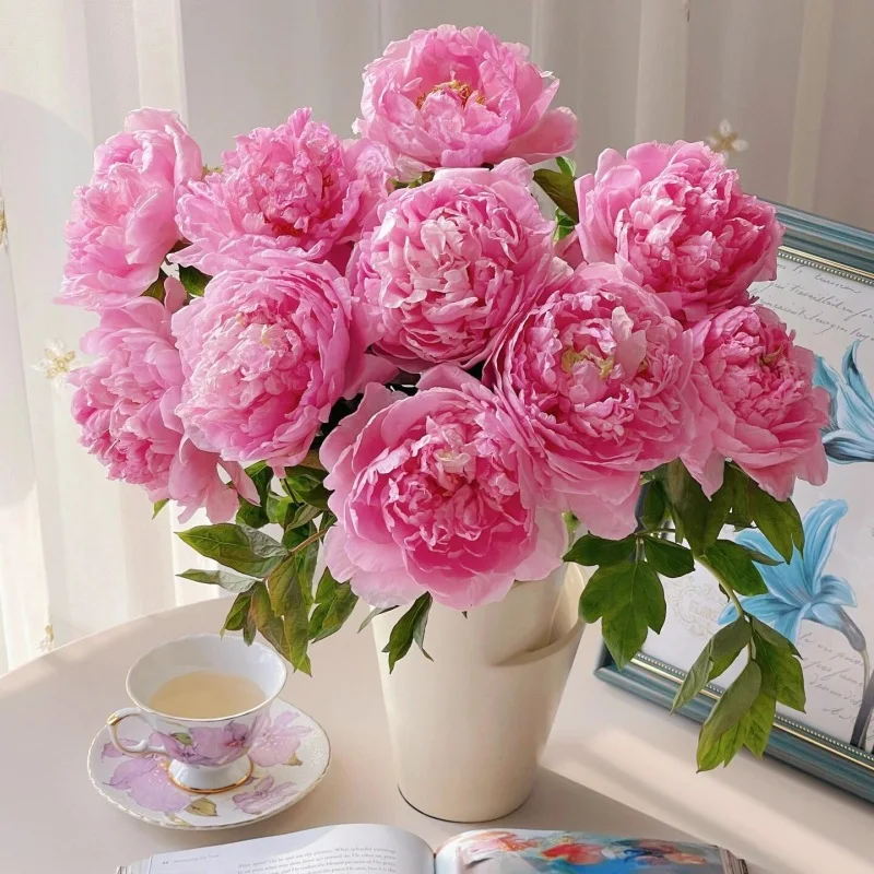 62CM 2 Head Peony King Simulation Flowers Wealthy Peony Flower Peony Fake Flower Decoration Ornament Wedding Silk Flower
62CM 2 Head Peony King Simulation Flowers Wealthy Peony Flower Peony Fake Flower Decoration Ornament Wedding Silk Flower