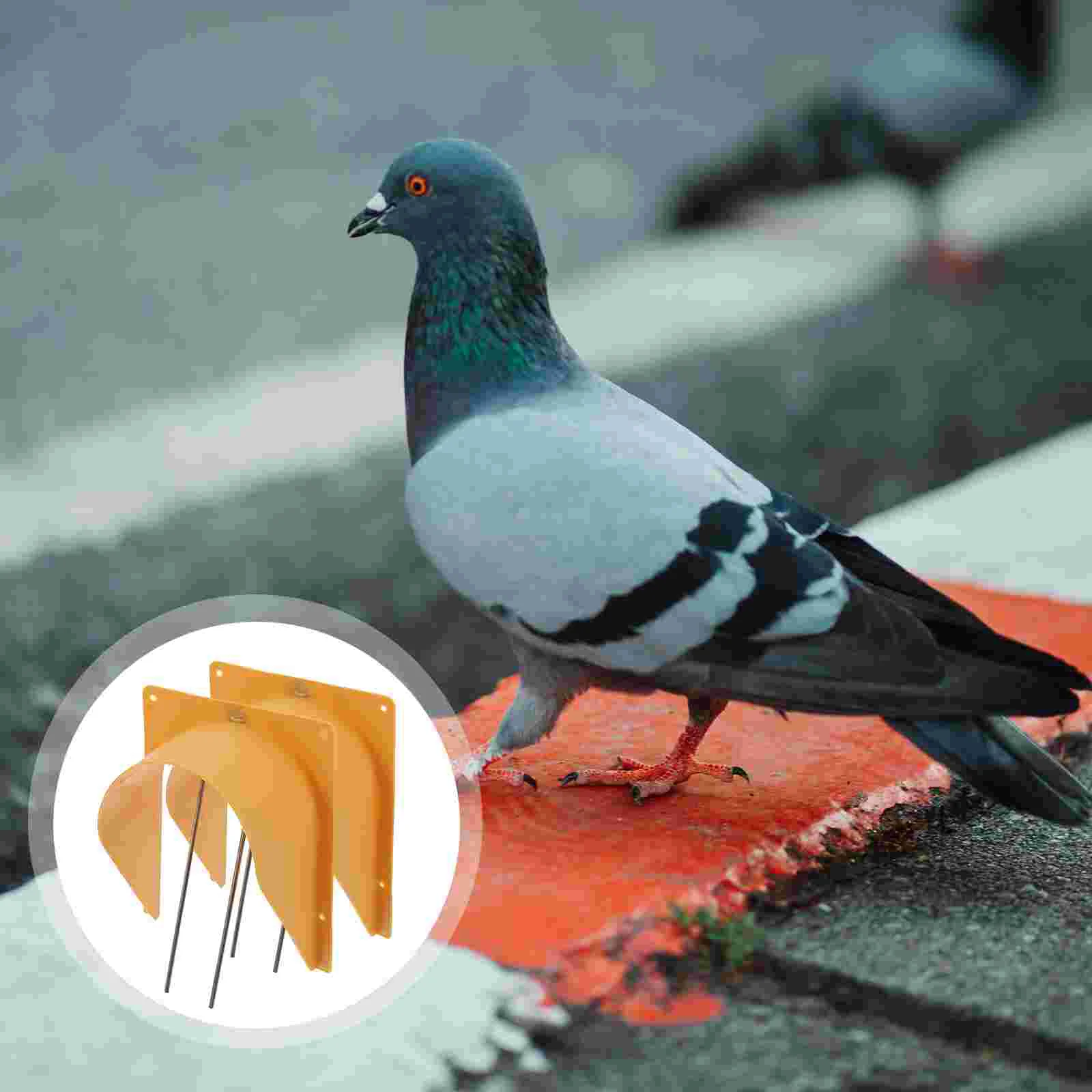 2 Pcs Large Live Animal Trap Cage Pigeon Door Entrance European Style Racing Quail
2 Pcs Large Live Animal Trap Cage Pigeon Door Entrance European Style Racing Quail