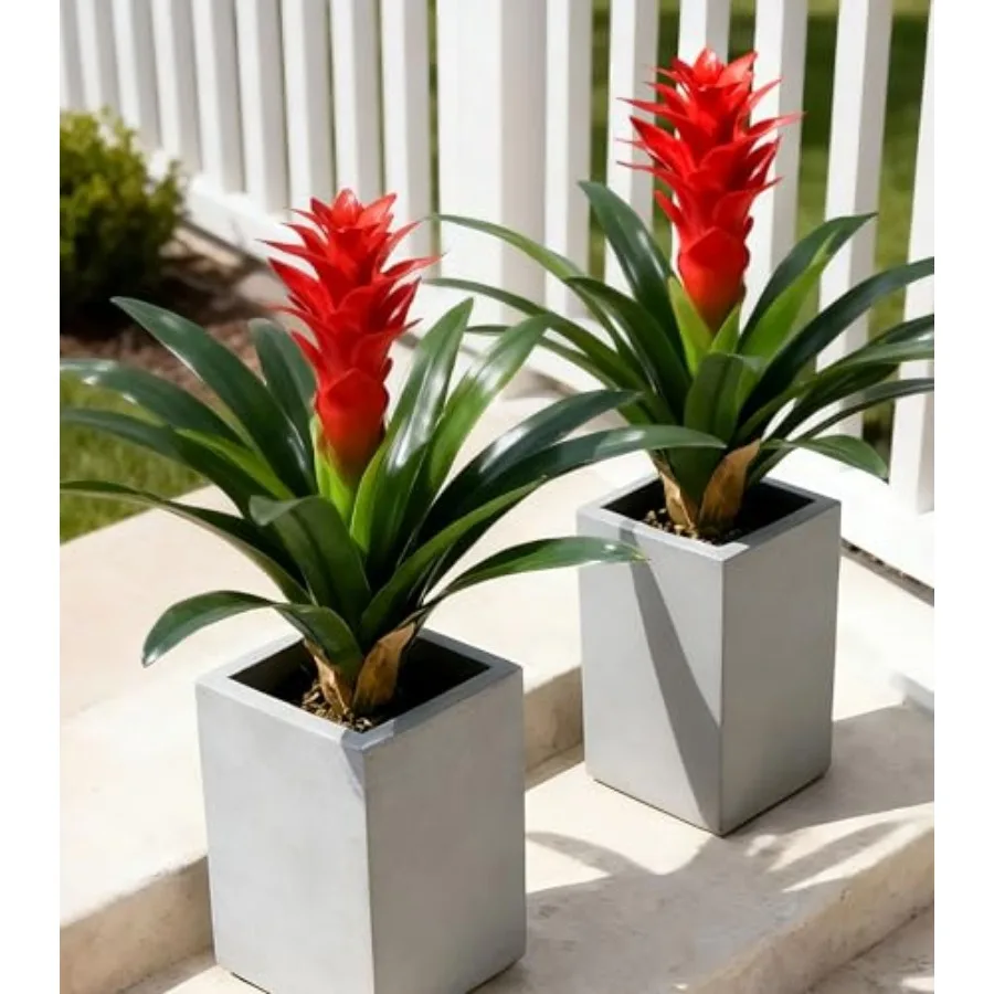 Fake Flowers Plants for Outdoors, 2 Pcs 16.93" Bromeliad Artificial Flowers Uv Resistant Realistic Faux Flowers for Outdoor Pla
Fake Flowers Plants for Outdoors, 2 Pcs 16.93" Bromeliad Artificial Flowers Uv Resistant Realistic Faux Flowers for Outdoor Pla
