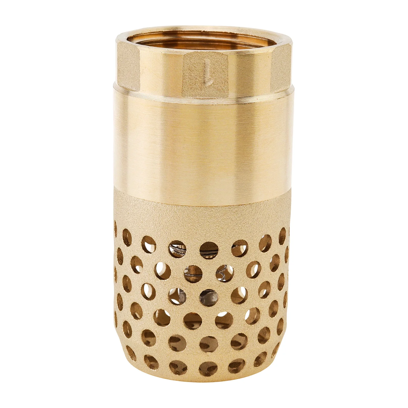 1 inch G Thread Brass Check Valve Heavy Duty Spring Mesh with Holes Strainer Filter for Pipe Systems / Pumps / Wells
1 inch G Thread Brass Check Valve Heavy Duty Spring Mesh with Holes Strainer Filter for Pipe Systems / Pumps / Wells