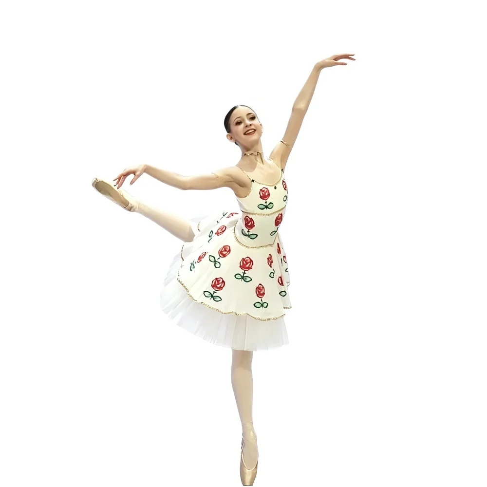 Childs Rose Embroidery Ballet Performance Dress Sling Tulle Tutu Skirt Women Professional Ballroom Ballet Dance Costume
Childs Rose Embroidery Ballet Performance Dress Sling Tulle Tutu Skirt Women Professional Ballroom Ballet Dance Costume