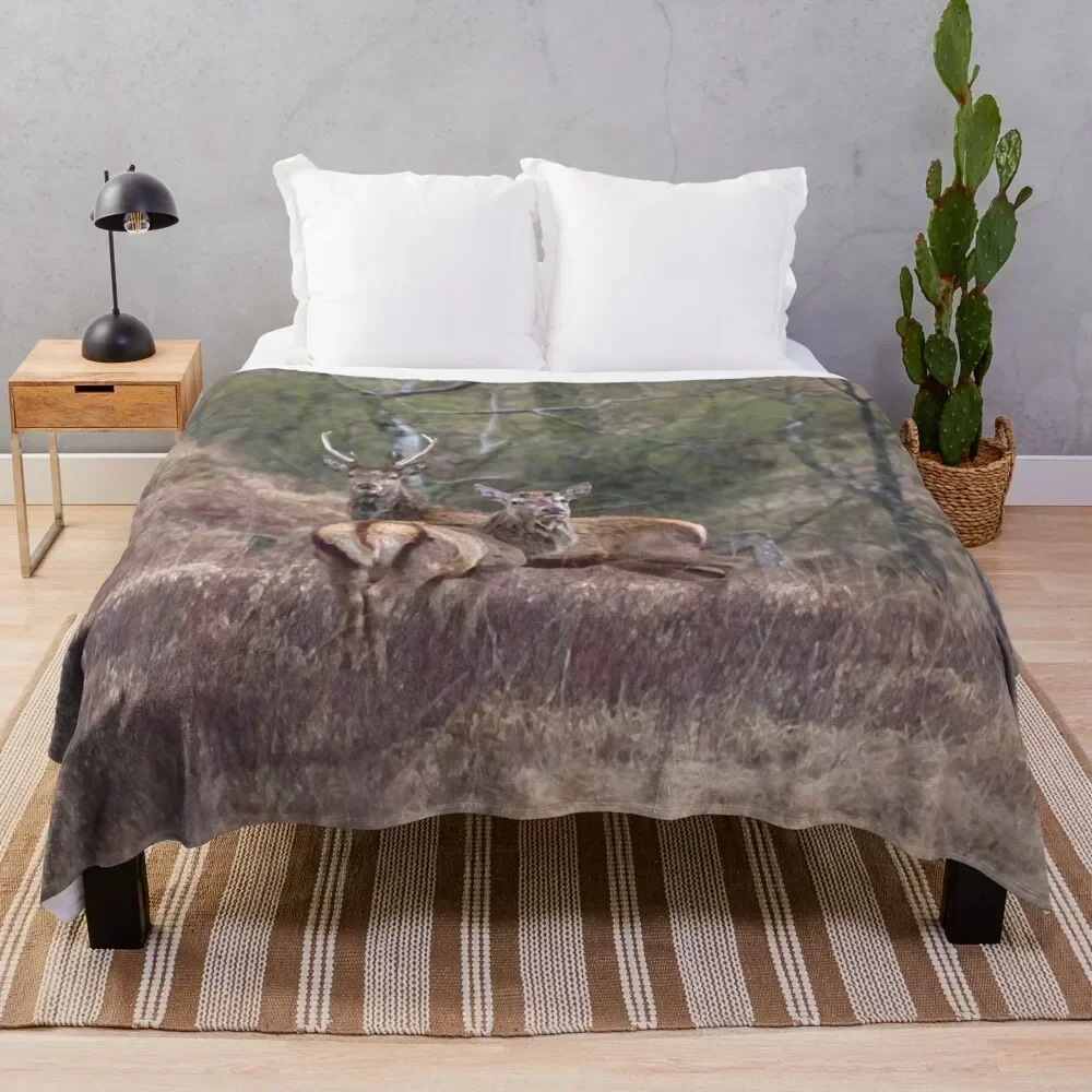 stags in the Scottish Highlands Throw Blanket Year Round Soft Comfortable Blanket for Home
stags in the Scottish Highlands Throw Blanket Year Round Soft Comfortable Blanket for Home