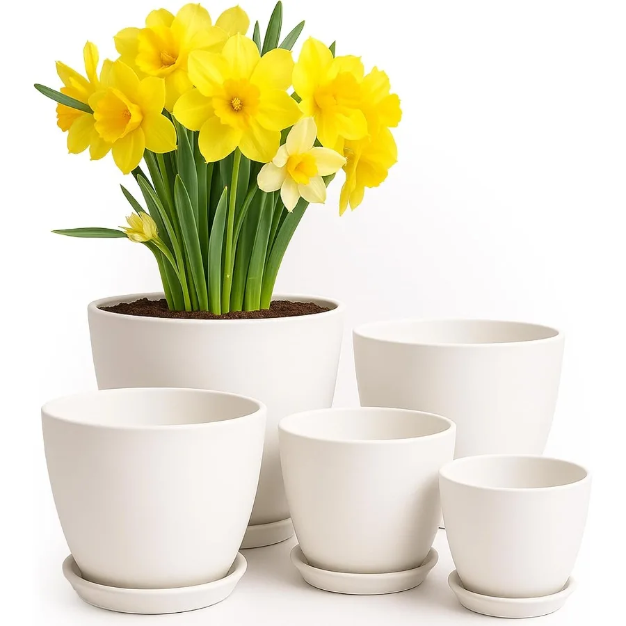 Plant Pots Indoor with Drainage 7 6.6 6 5.3 4.8 Inches Garden Flower Pots for Indoor Planter 5 Pack White Plastic Planters Idea
Plant Pots Indoor with Drainage 7 6.6 6 5.3 4.8 Inches Garden Flower Pots for Indoor Planter 5 Pack White Plastic Planters Idea