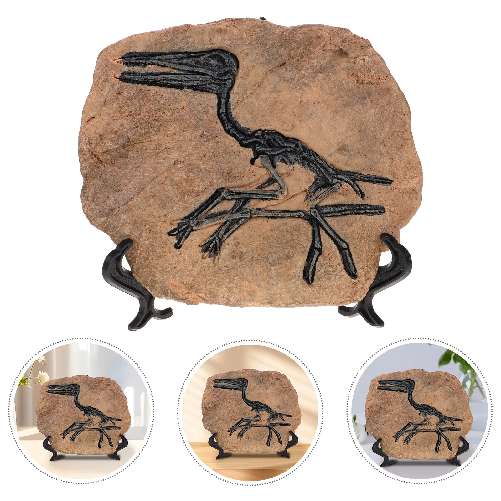 Dinosaur Ornaments Dinosaurs Mini Skull Home Decor Desktop Model Office Figurines Baby
Dinosaur Ornaments Dinosaurs Mini Skull Home Decor Desktop Model Office Figurines Baby