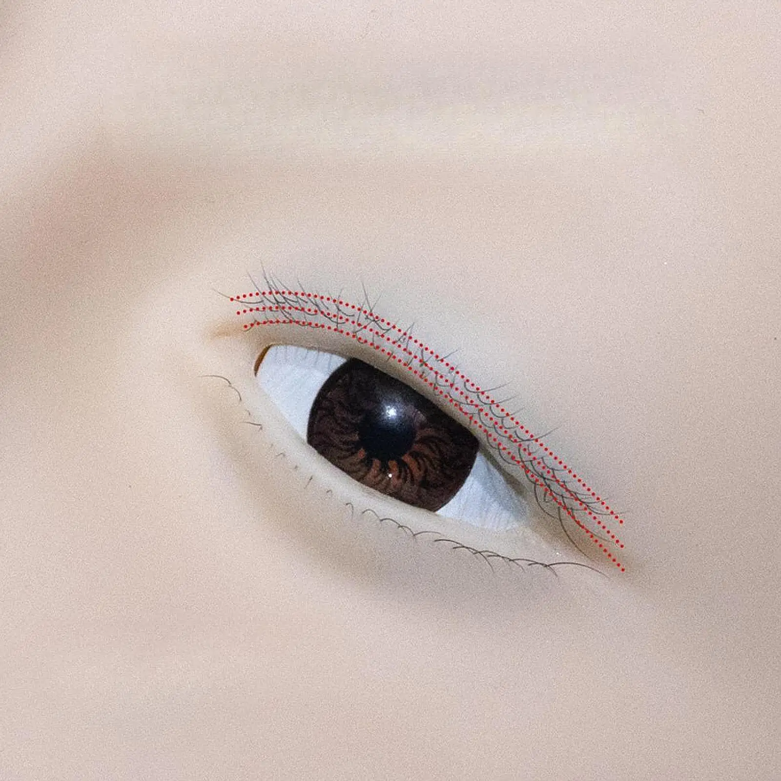 Eyelash Extension Mannequin Head, Lash Extension Practice Face Professional, Cosmetology Doll for Shop Home Beginners Indoor
Eyelash Extension Mannequin Head, Lash Extension Practice Face Professional, Cosmetology Doll for Shop Home Beginners Indoor