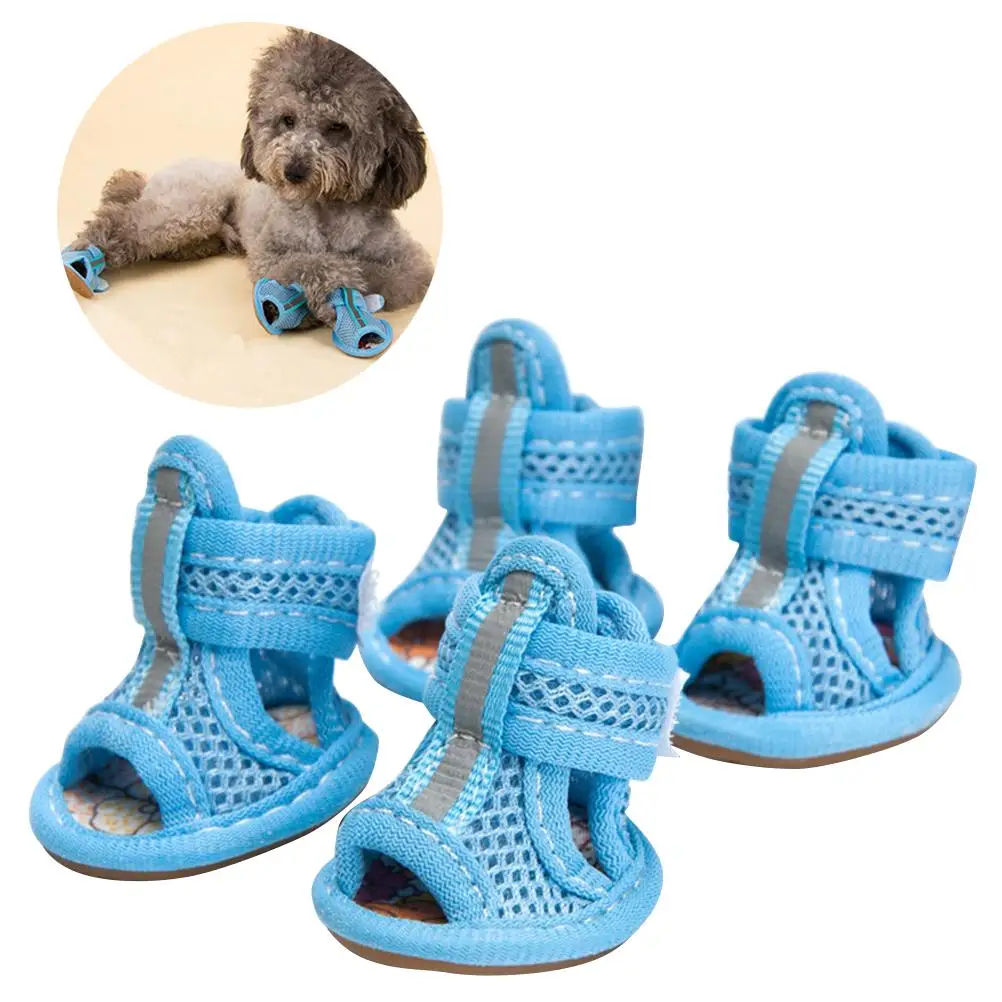 4 Pcs Pet Dog Shoes Breathable Mesh Summer Sandals Flexible Sole Small Size Blue Convenient Dog Shoe Pet Supplies
4 Pcs Pet Dog Shoes Breathable Mesh Summer Sandals Flexible Sole Small Size Blue Convenient Dog Shoe Pet Supplies