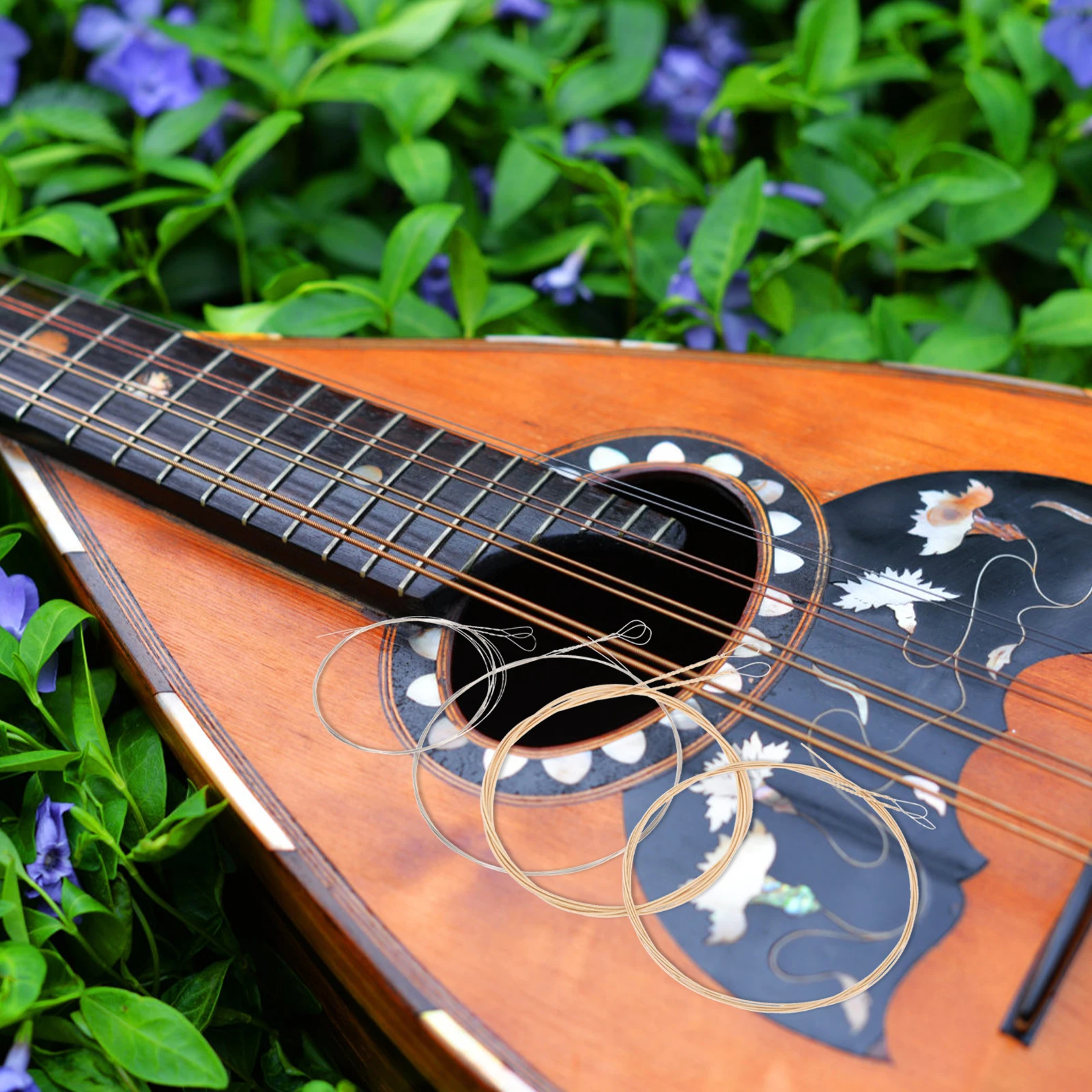 Mandolin Strings Instrument Accessories Stainless Steel Parts Replacement Golden
Mandolin Strings Instrument Accessories Stainless Steel Parts Replacement Golden