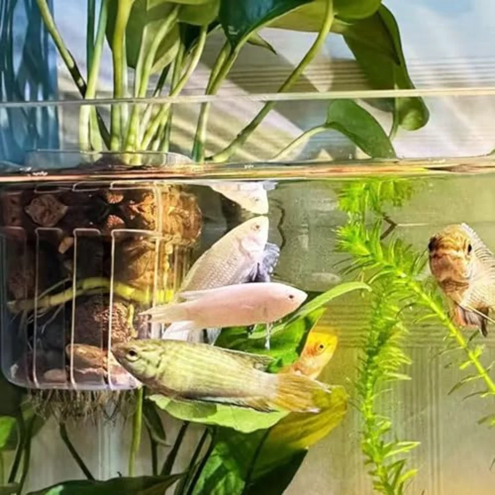 Прозрачный держатель для горшка для аквариумных растений с крючком для подвешивания водных растений, корзина для аквариума, способствует росту растений
Прозрачный держатель для горшка для аквариумных растений с крючком для подвешивания водных растений, корзина для аквариума, способствует росту растений